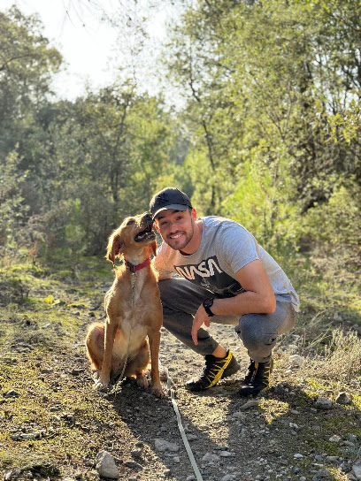 Mikanine | Educateur Comportementaliste Canin À Toulon Et L'ensemble Du Var, 83 Dresseur De Chiens à Toulon