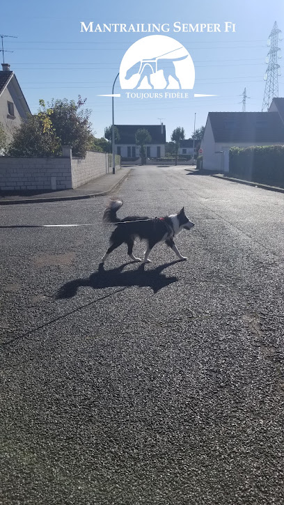 Mantrailing Semper Fi, Dresseur De Chiens à Millançay