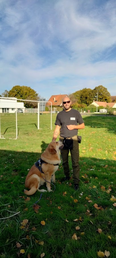 Triomphe Canin, Dresseur de Chiens à Rozay-en-Brie