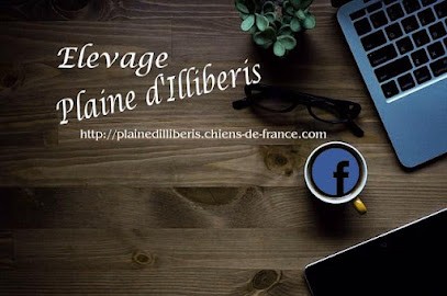 Elevage de la Plaine d'Illiberis - Canin, Eleveur de Chiens au Boulou