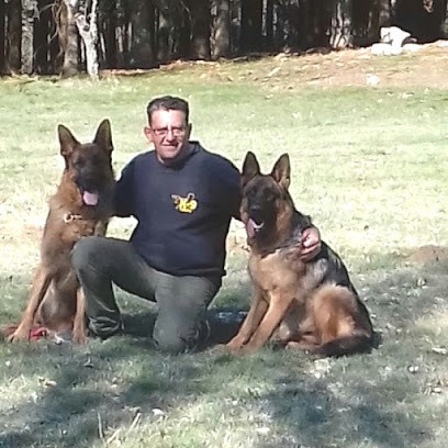 Lavore Saint -Regis Du Coin Éducateur Canin, Dresseur de Chiens à Saint-Régis-du-Coin