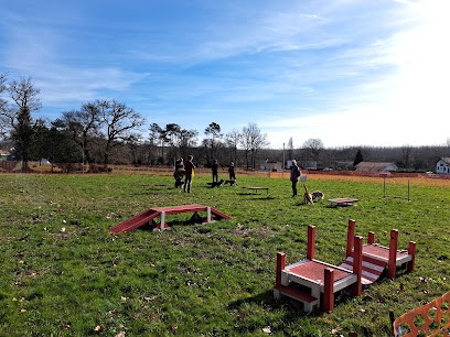 Club Cynophile De Dax, Dresseur de Chiens à Oeyreluy