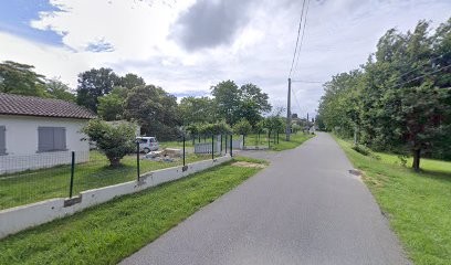 Elevage Des Petits Landais, Eleveur de Chiens à Pomarez