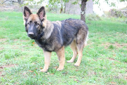 Les Loups Du Quercy, Eleveur de Chiens à La Capelle-Balaguier
