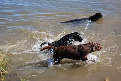 Élevage Of Park-Heaven, Eleveur de Chiens à Saint-Gilles