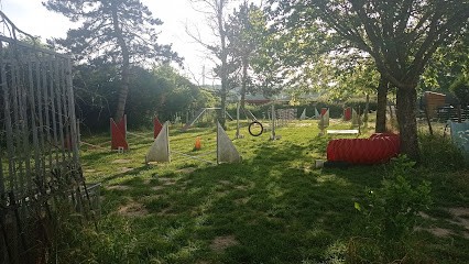 Agility - Comportementaliste - éducation Canine, Dresseur de Chiens à Trilbardou