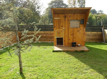 Pension Moustaches, Pension pour Chiens à Chémeré-le-Roi