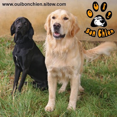 Oui... Bon Chien !, Dresseur de Chiens à Valence