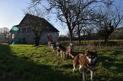 Anokis Of Sirius, Eleveur de Chiens à Gissey-le-Vieil
