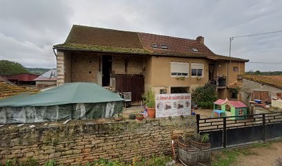 Febvre Jacques - febvre brun cecilia, Eleveur de Chiens à Ameugny