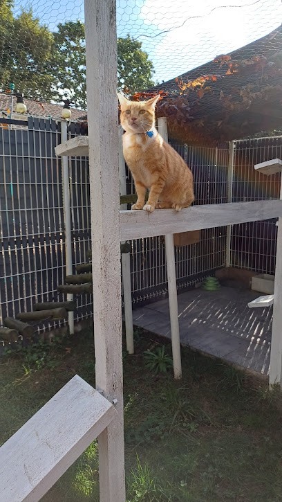 À tous poils, Pension pour Chiens aux Artigues-de-Lussac