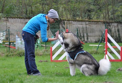 Contre Vents Et Marées, Dresseur de Chiens au Fenouiller