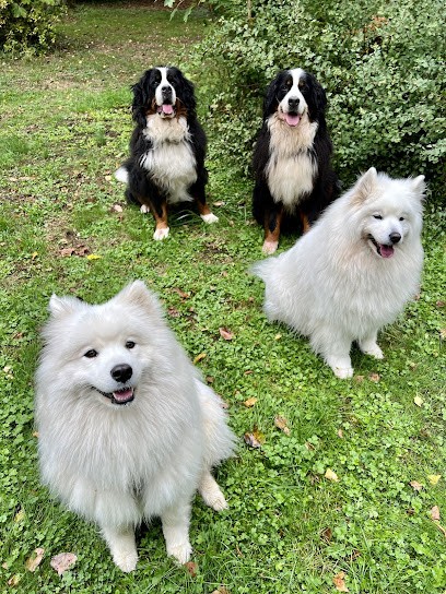 A Toutes’ Pattes, Pension pour Chiens à Pierrepont