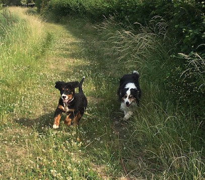 Foret Celine : Éducateur canin Ardennes Charleville, Dresseur de Chiens à Lonny