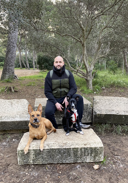 Cyno Corp - Éducateur Canin Comportementaliste Dresseur De Chiens à Marseille 08