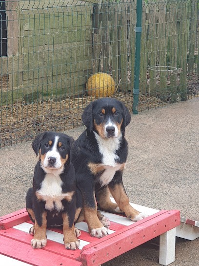 Le Logis Ste Macrine, Eleveur de Chiens à Verruyes
