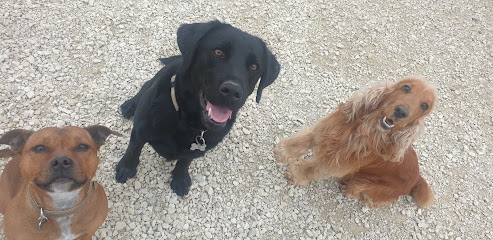 Nanou Family Enjoy, Pension Pour Chien à Dierrey-Saint-Pierre