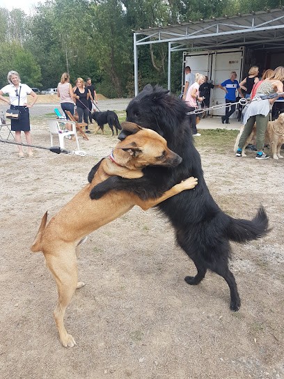 Club Canin De Villers Saint Paul, Dresseur de Chiens à Villers-Saint-Paul