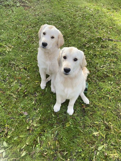 RespectDogs Savenay, Dresseur de Chiens à Savenay