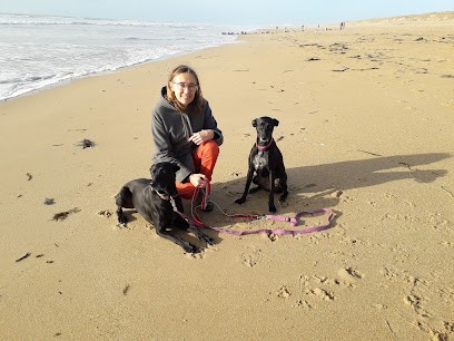 Pension Canine à Challans En Vendée Au Comptoir Des Moustaches 85, Pension pour Chiens à Challans