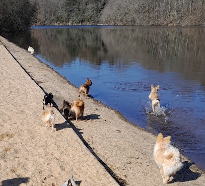 Pension Cani'tranquil, Pension pour Chiens à Saint-Julien-le-Petit