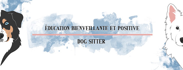 Com'uni Canin, Dresseur De Chiens à Dax