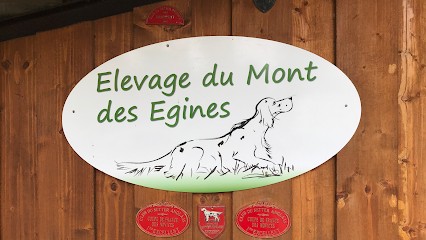 Élevage Setter anglais du mont des Egines Montauban, Eleveur de Chiens à Escatalens