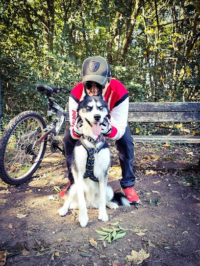 EDUCATION DU CHIEN-Éducateur Comportementaliste Canin, Dresseur de Chiens à Vigneux-sur-Seine