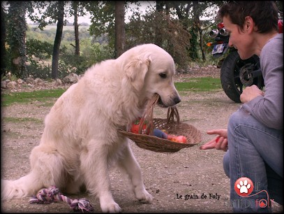 Le Grain De Foly, Dresseur de Chiens à Saint-Antoine-de-Ficalba