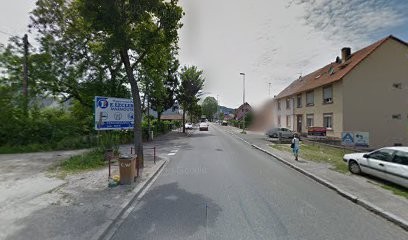 Louis Lambrecht - Éducateur Comportementaliste Canin, Dresseur de Chiens à Saverne