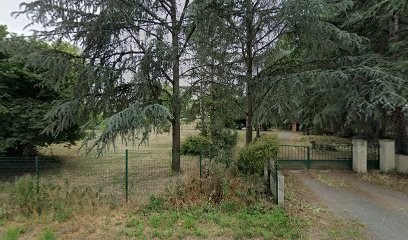 Saclier Alain Et Patricia - Elevage De Bergers Des Pyrénées à Face Rase De La Porte Des Touim's, Eleveur de Chiens à Saint-Julien-de-Concelles