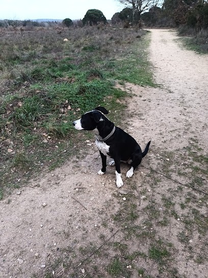 Educ Et Moi 66, Dresseur de Chiens à Saint-Génis-des-Fontaines