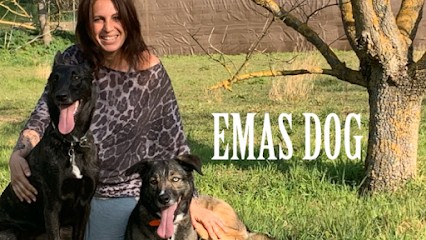 EMAS DOG, Dresseur de Chiens à Marseille 11