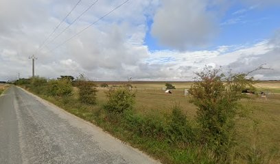 Club Cynophile Du Blaisois, Dresseur de Chiens à Villerbon