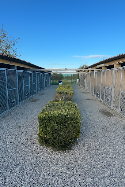 Lazmo Pension Canine Vallée De La Retourne Pension Pour Chien à Neuflize
