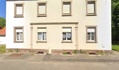 Chiens Conseils, Dresseur de Chiens à Monswiller