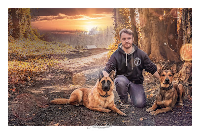 Neuradog - Educateur Canin Caen Dresseur De Chiens à Caen