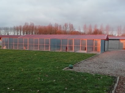 Anim'hot, Pension pour Chiens à Templeuve-en-Pévèle