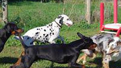 Centre Canin La Grignande, Pension pour Chiens à Aubord