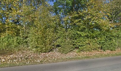 Chenil les Mille Calins, Pension pour Chiens au Grais