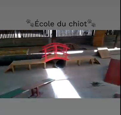 Le Royaume Du Phoenix, Pension Pour Chien à Val-d'Arguenon