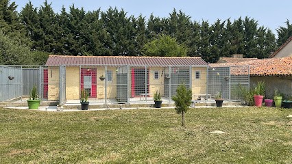 Pension Canine Au Royaume De Guess, Pension pour Chiens à Bouresse