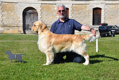 Élevage Des Jardins De L'imaginaire, Éleveur De Chiens à Frévent