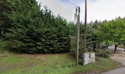 Pension chiens près de Besançon, Pension pour Chiens à Montferrand-le-Château