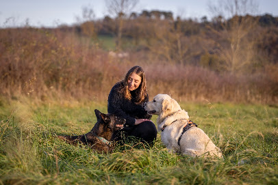 Doggy Pawsitive - Educatrice Canin En Méthode Positive, Dresseur De Chiens à Coutansouze