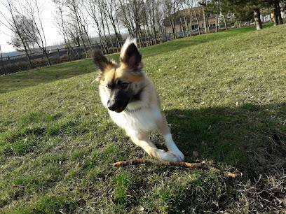 leschihuahuasdunorddelafrance, Eleveur de Chiens à Râches