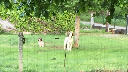 La Dog'Colo, Pension pour Chiens à Sentenac-d'Oust