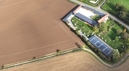 Domaine canin - La Plume Herlinoise, Eleveur de Chiens à Herlin-le-Sec