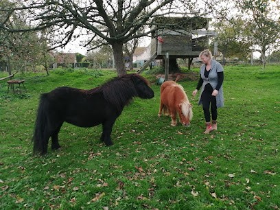Pet's Holidays, Pension pour Chiens à Néville