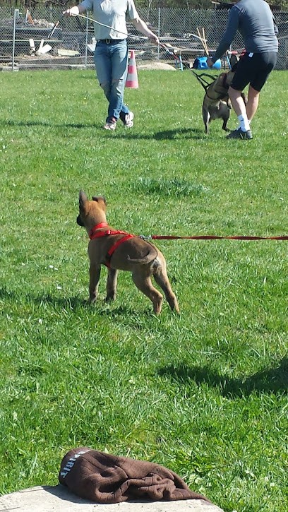 Club Cynophile Champenois De Monthelon, Dresseur de Chiens à Monthelon